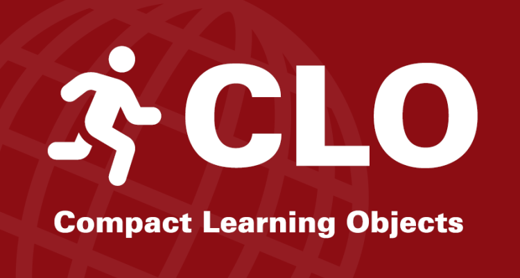Compact Learning Objects